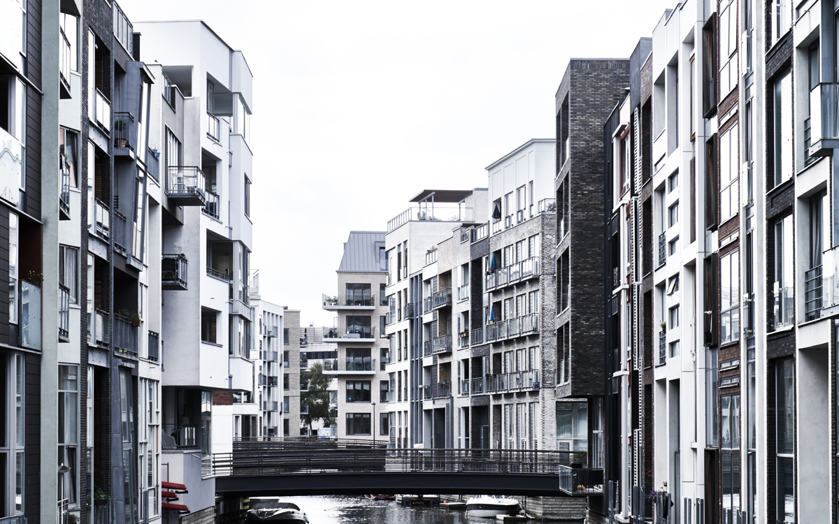 cover-image